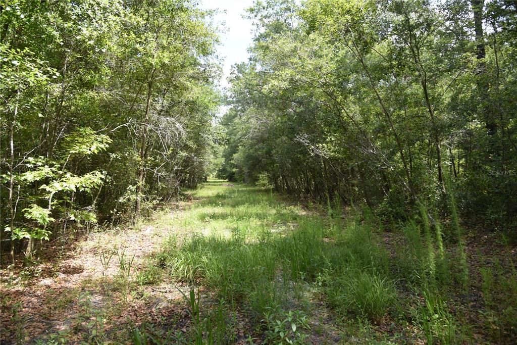 Recently Sold: $319,000 (76.17 acres)