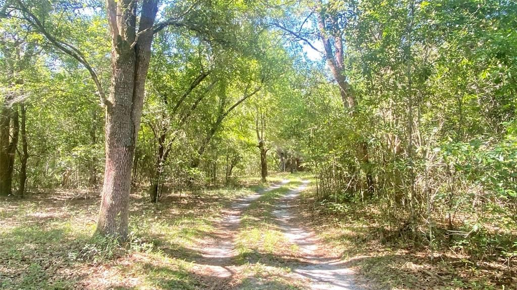 Recently Sold: $495,000 (52.50 acres)