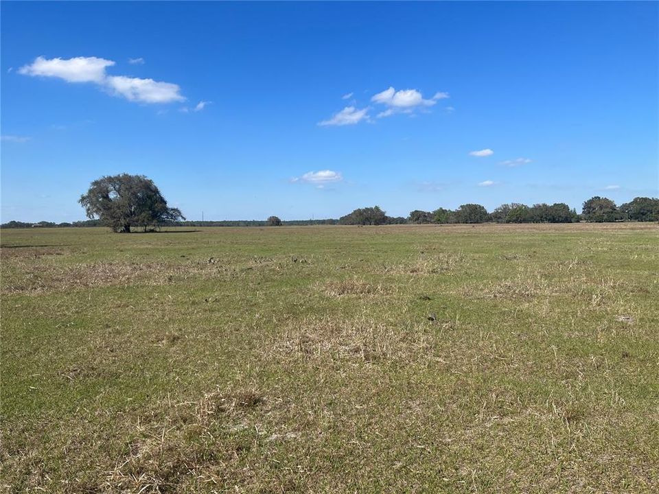 Recently Sold: $1,750,000 (98.00 acres)