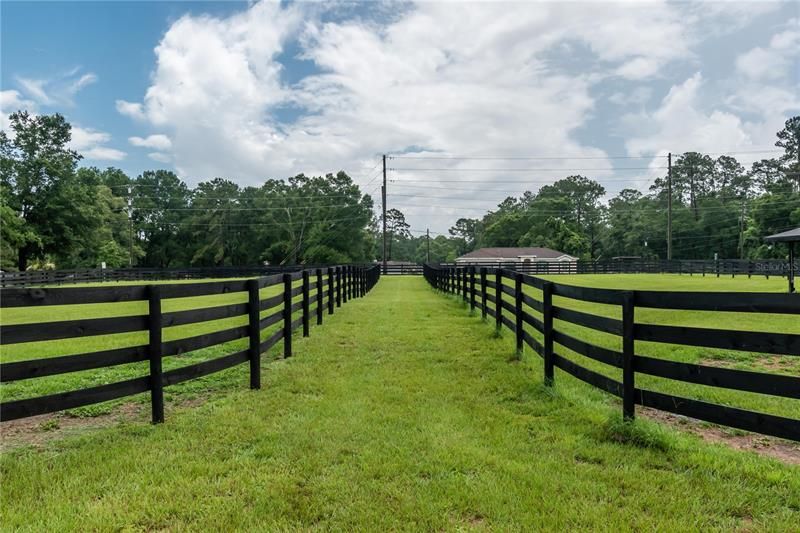 Lanes between paddocks