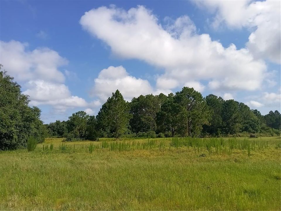 Recently Sold: $149,000 (2.37 acres)