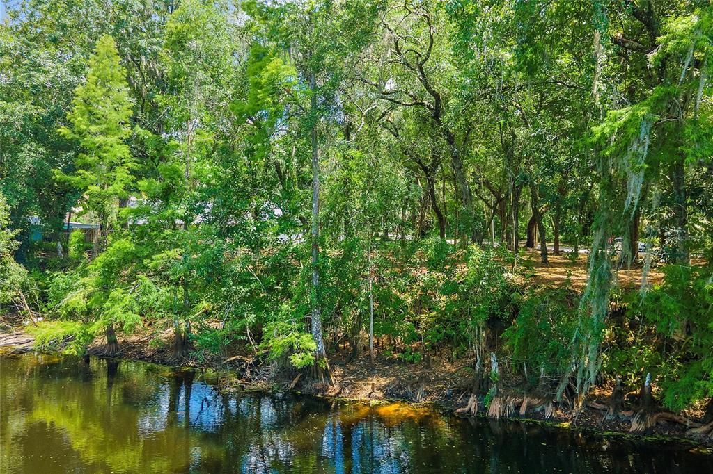 View of lot from Hillsborough River