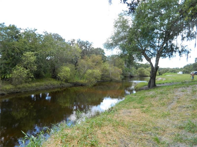 Myakka River