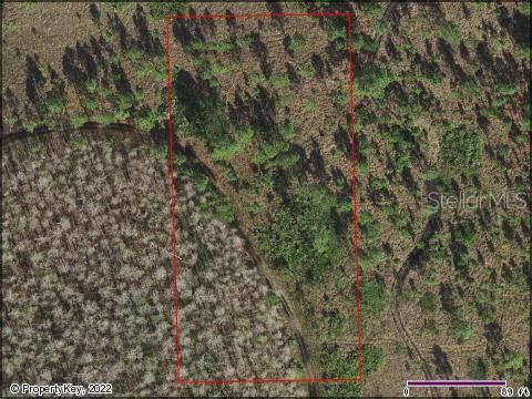 For Sale: $7,000 (1.25 acres)