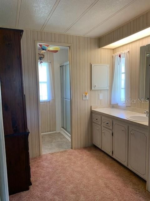 Master Bath/Dressing Area