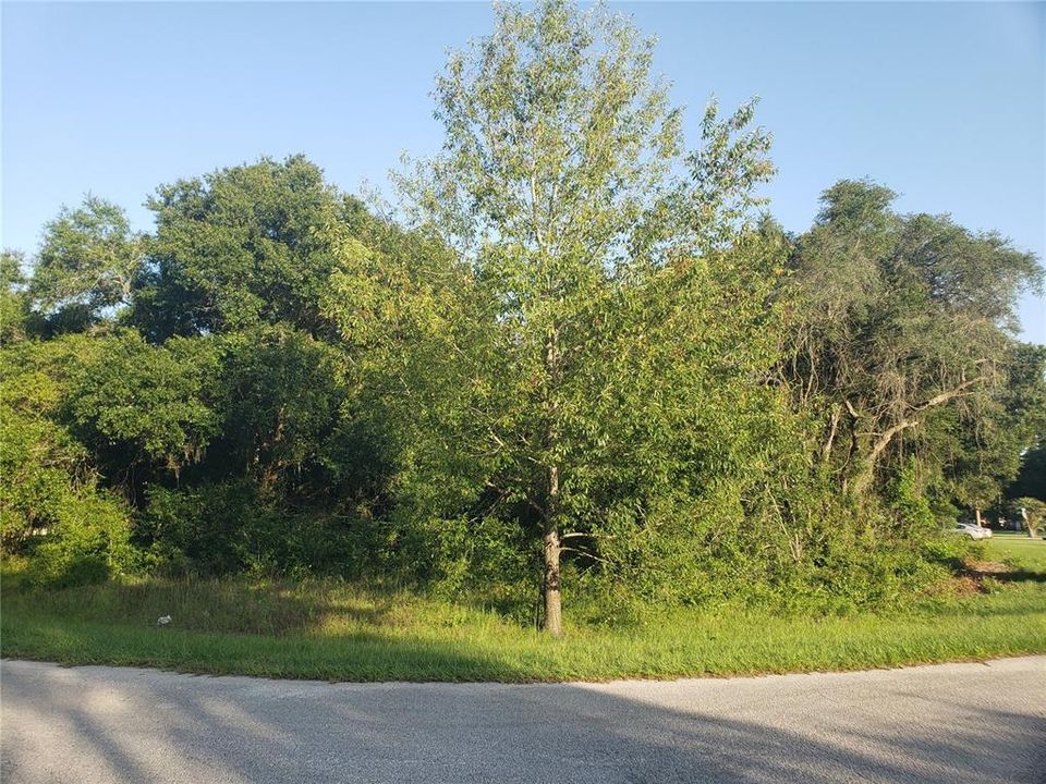 Recently Sold: $19,500 (0.26 acres)