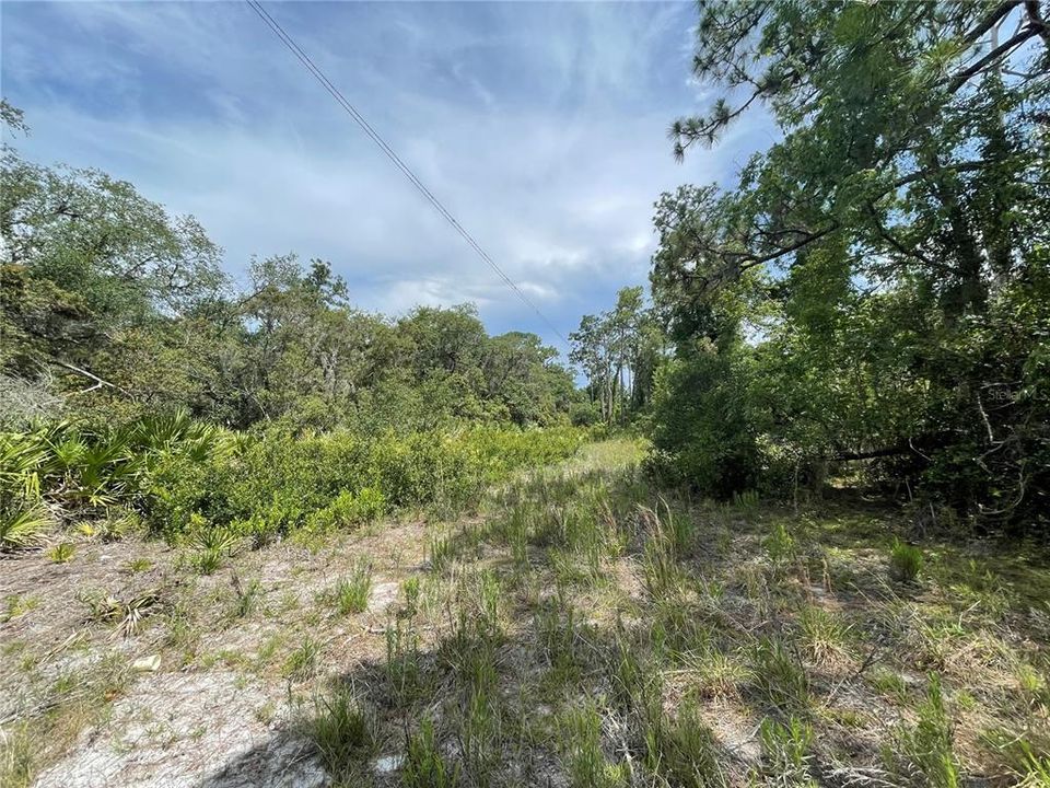 Recently Sold: $57,900 (5.74 acres)