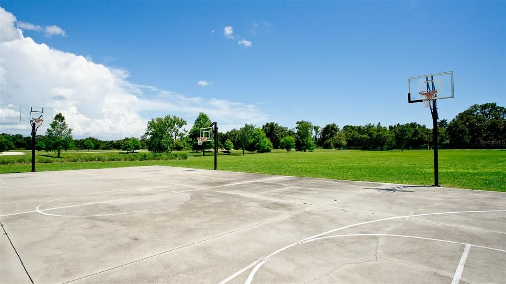 Basketball Court