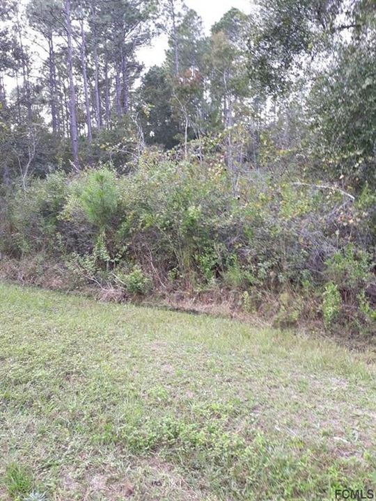 Vendido Recientemente: $12,500 (1.38 acres)