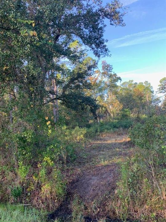 Recently Sold: $12,500 (1.38 acres)