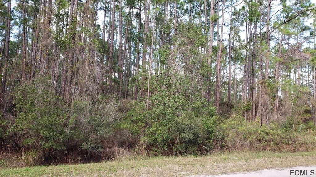 Recently Sold: $8,000 (1.12 acres)