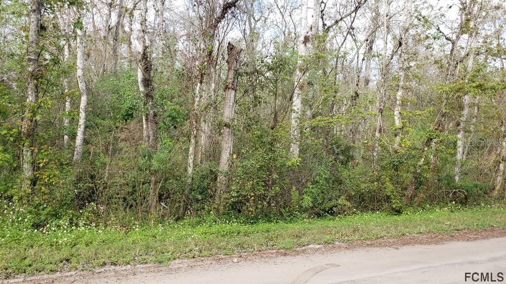 Recently Sold: $8,000 (1.12 acres)