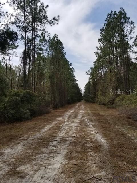 Recently Sold: $3,500 (0.25 acres)