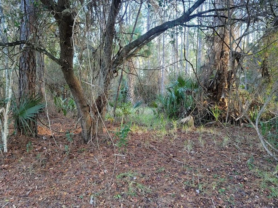 Recently Sold: $44,900 (0.23 acres)