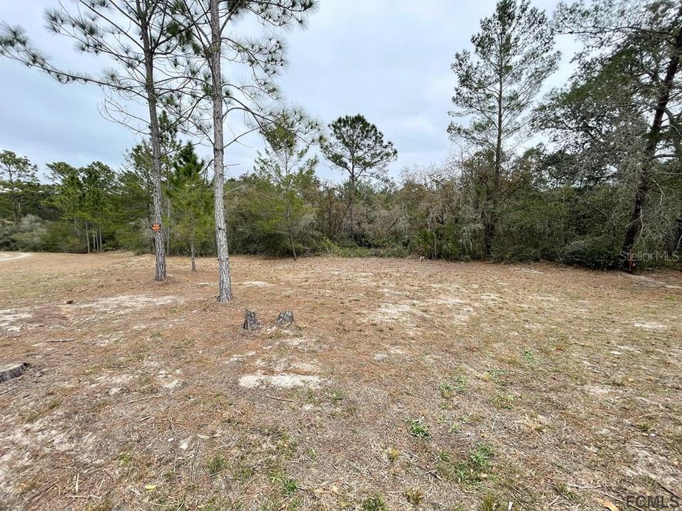 Recently Sold: $65,999 (3.96 acres)