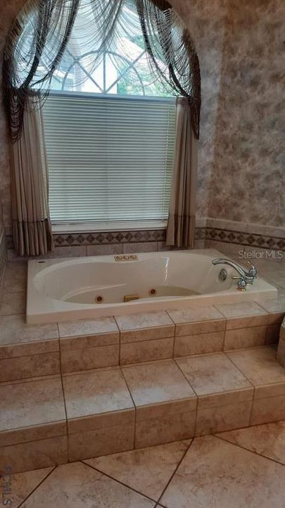Недавно арендовано: $3,000 (3 спален, 2 ванн, 2384 Квадратных фут)