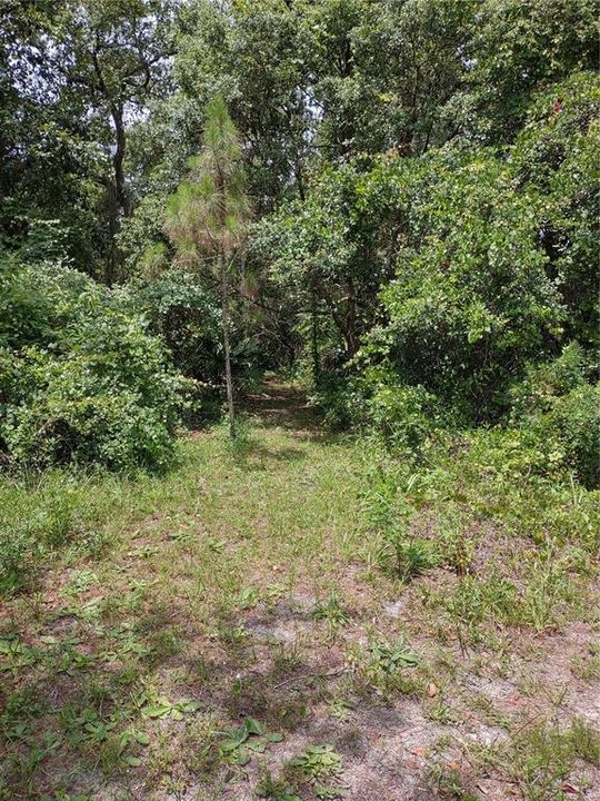 Recently Sold: $21,900 (0.69 acres)