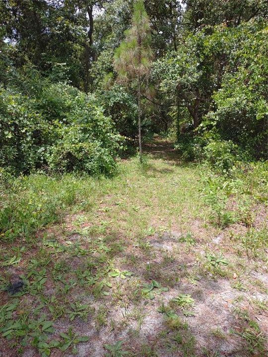 Recently Sold: $21,900 (0.69 acres)