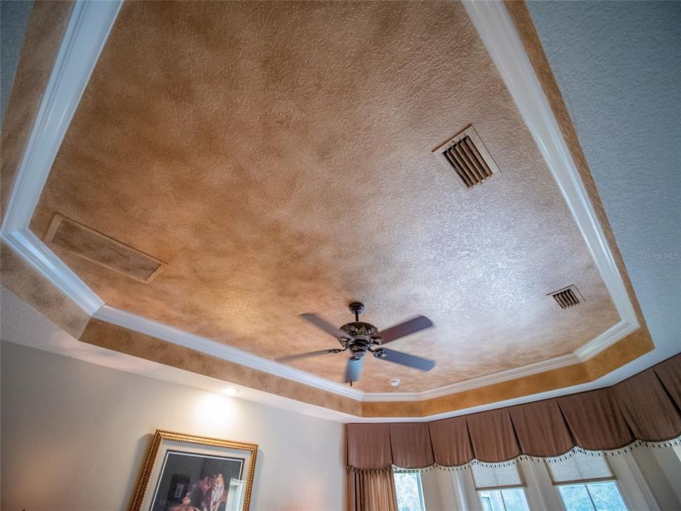 Owner's suite tray ceiling