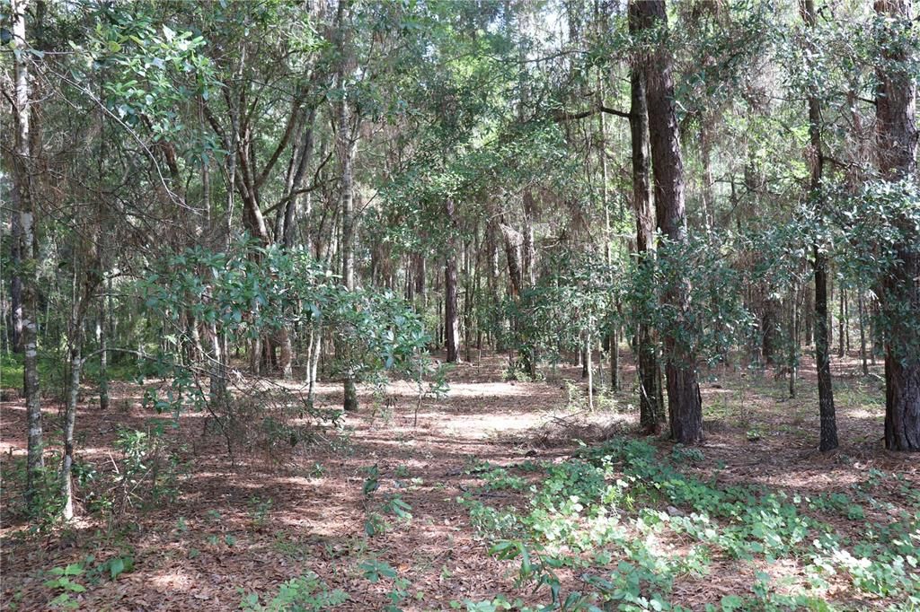 Recently Sold: $35,000 (1.09 acres)