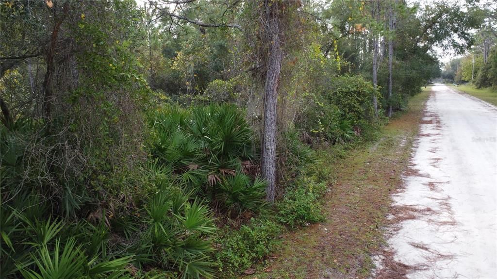 Residential Land (0.63 Acre Oversized Lot)