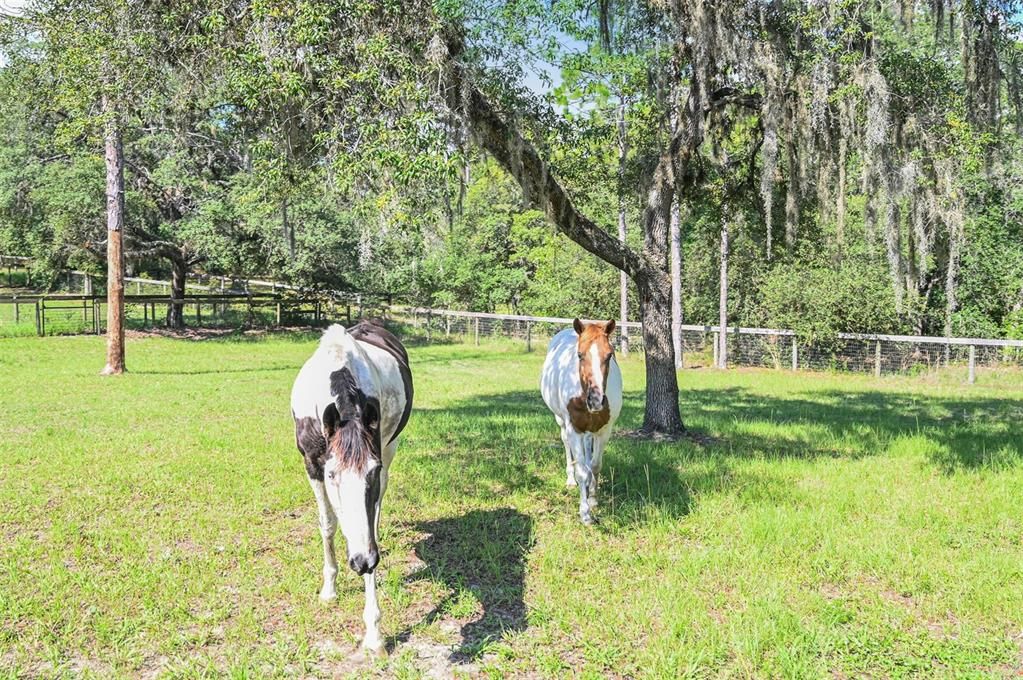 Vendido Recientemente: $599,000 (3 camas, 2 baños, 1476 Pies cuadrados)