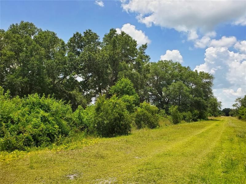 Easement on East Side