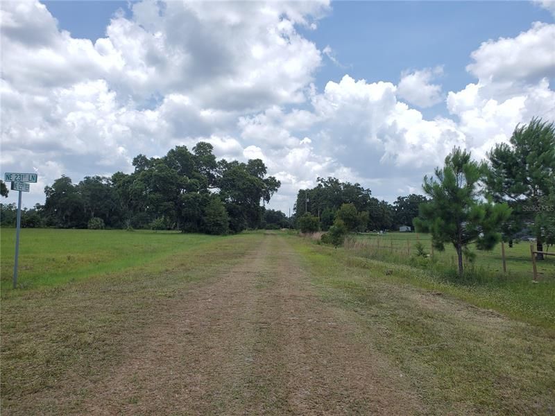 View Toward Entrance