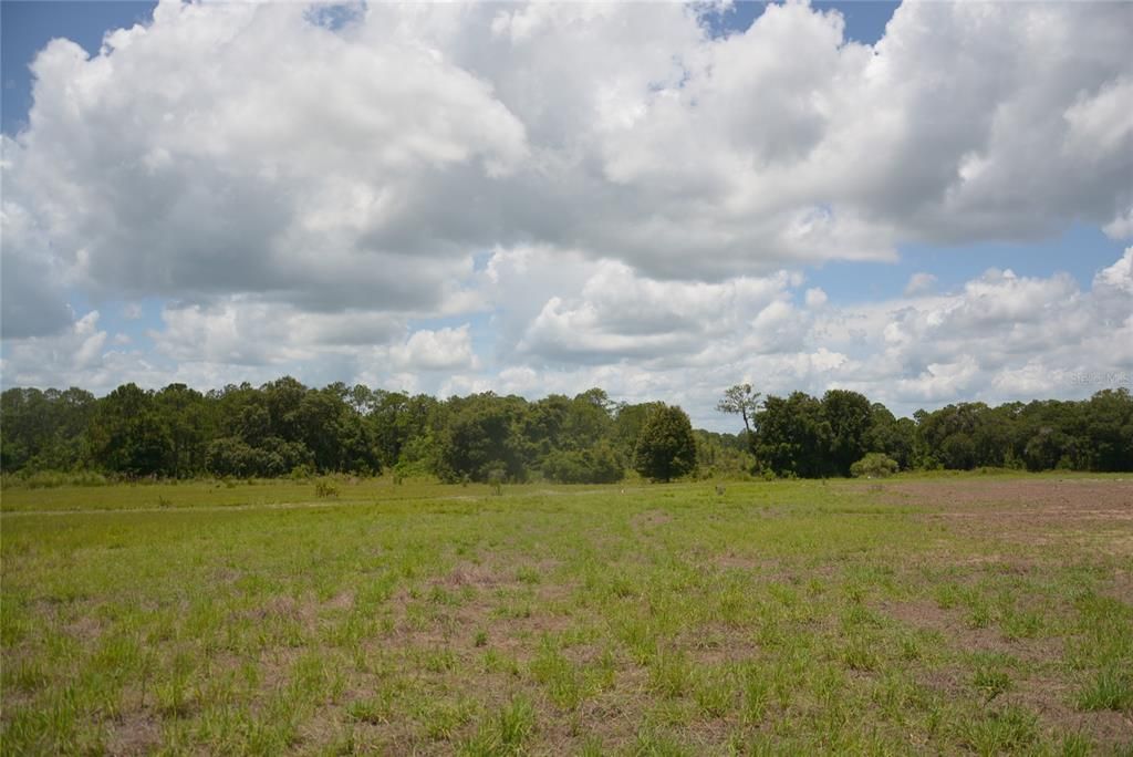 Recently Sold: $795,000 (60.00 acres)