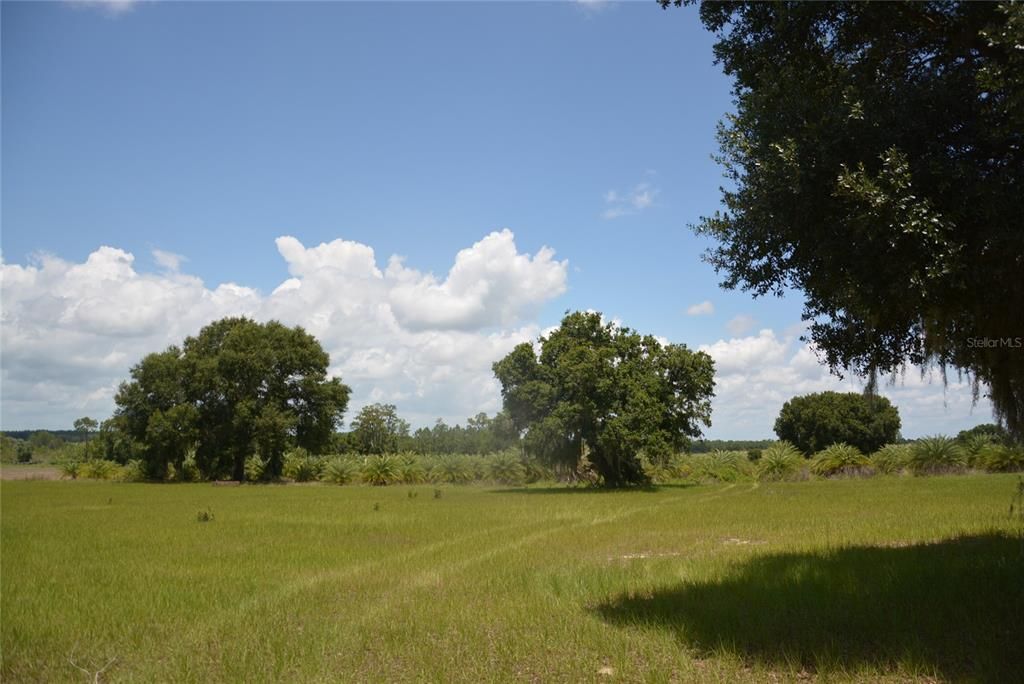 Recently Sold: $795,000 (60.00 acres)