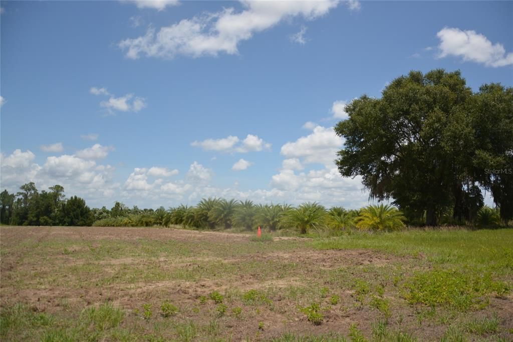 Recently Sold: $795,000 (60.00 acres)