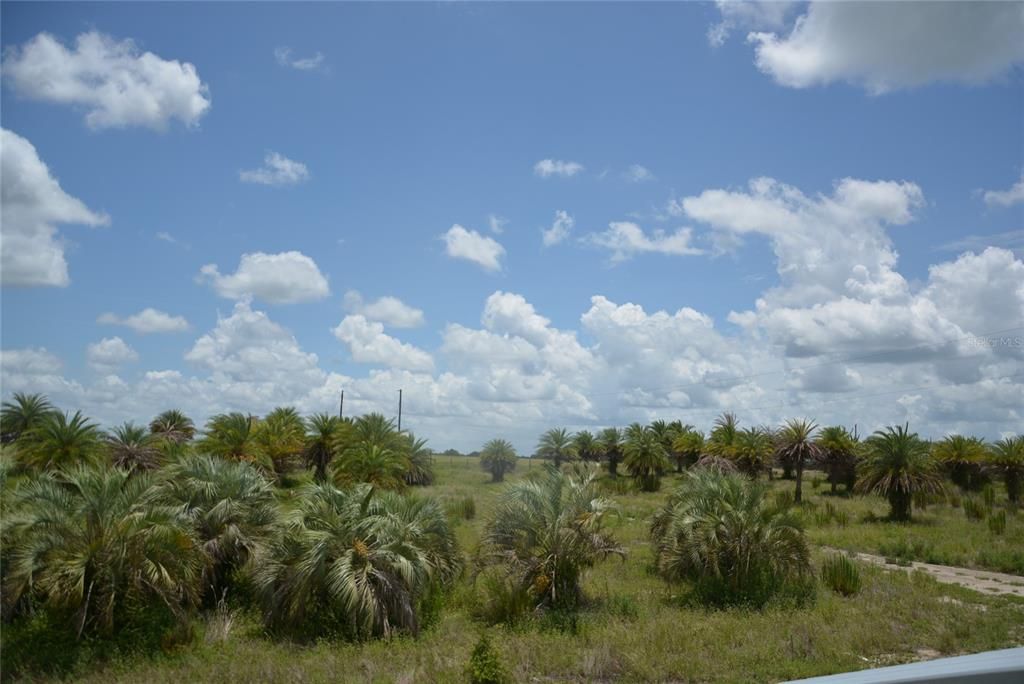 Recently Sold: $795,000 (60.00 acres)