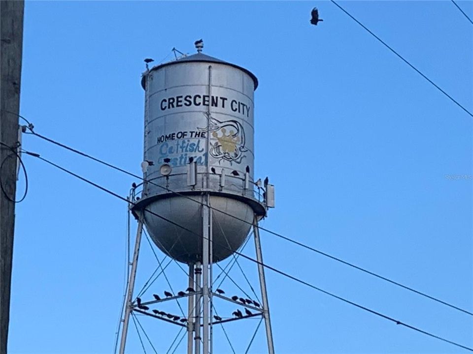 Crescent City Water Tower - Home of the Catfish Festival!