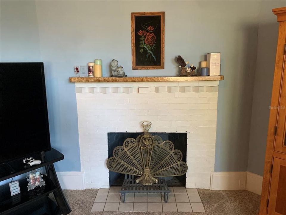 Decorative Fireplace in Living Room