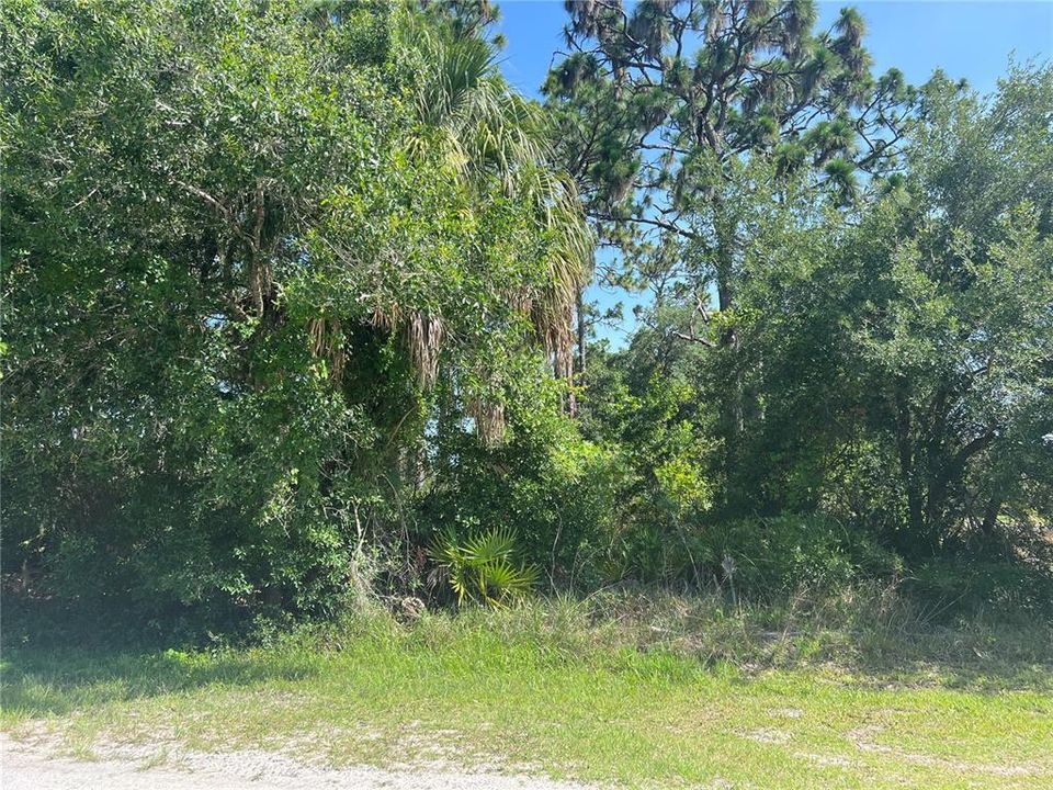 Recently Sold: $14,000 (0.55 acres)