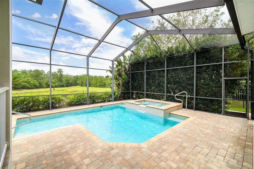 Screened in pool and spa.