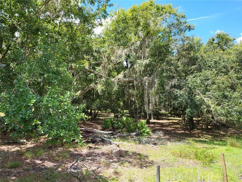 Recently Sold: $4,800 (0.38 acres)