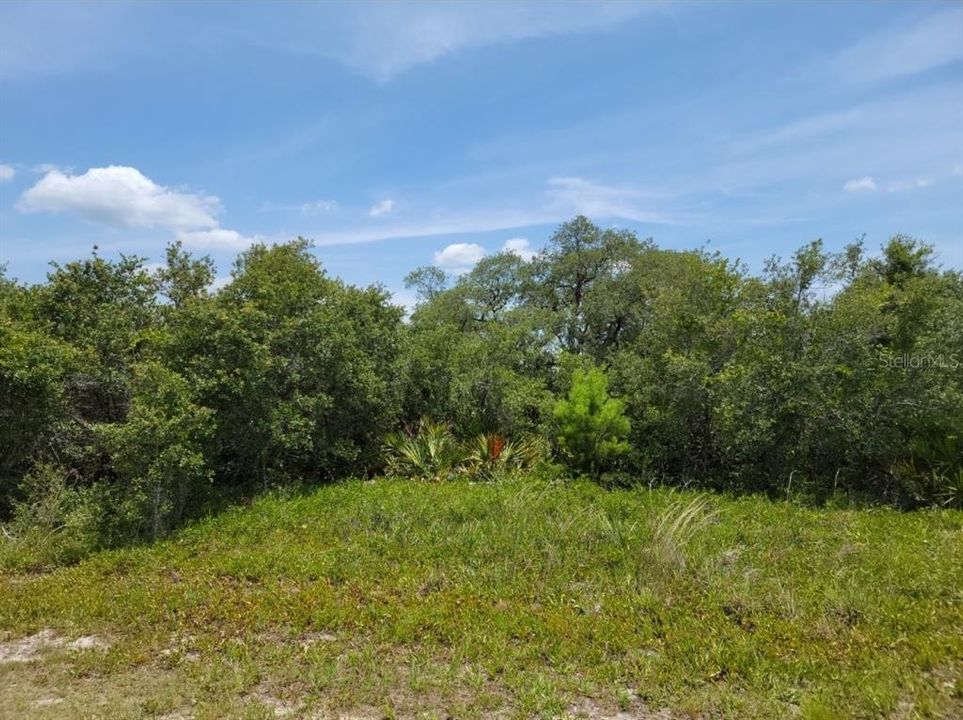 Recently Sold: $36,000 (0.84 acres)