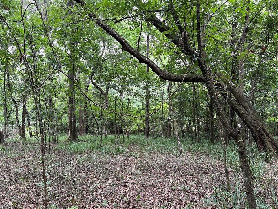 Recently Sold: $65,900 (5.79 acres)