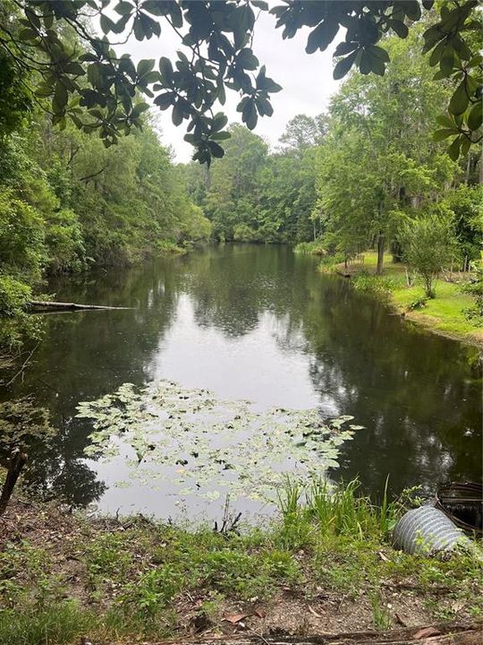 community fishing pond