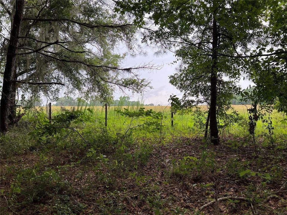 Recently Sold: $65,900 (5.79 acres)