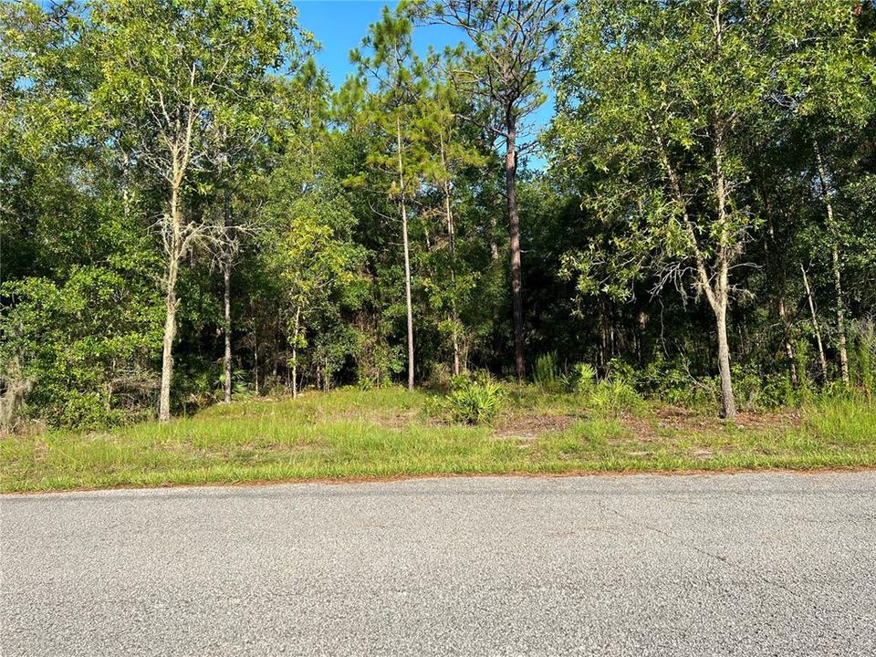 最近售出: $25,000 (1.06 acres)