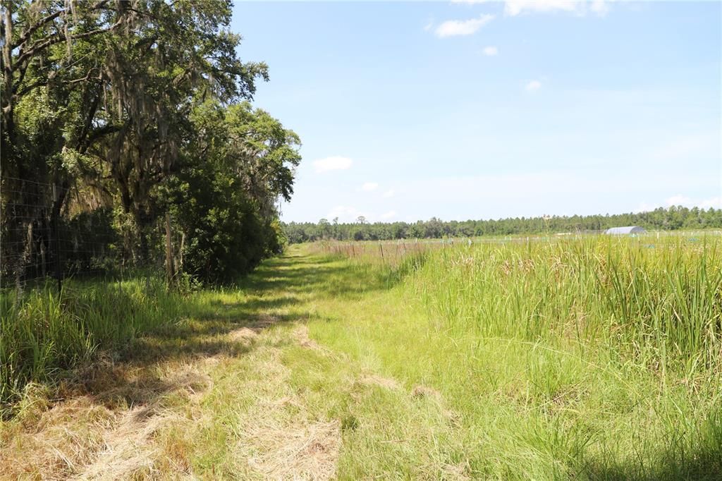 Recently Sold: $300,000 (23.52 acres)