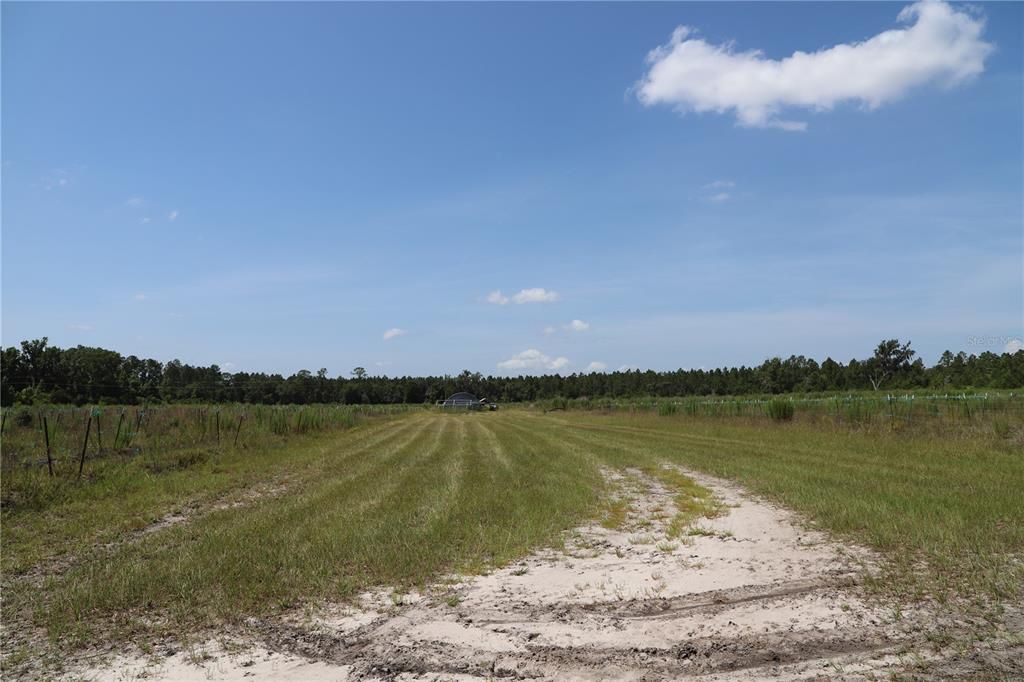 Recently Sold: $300,000 (23.52 acres)