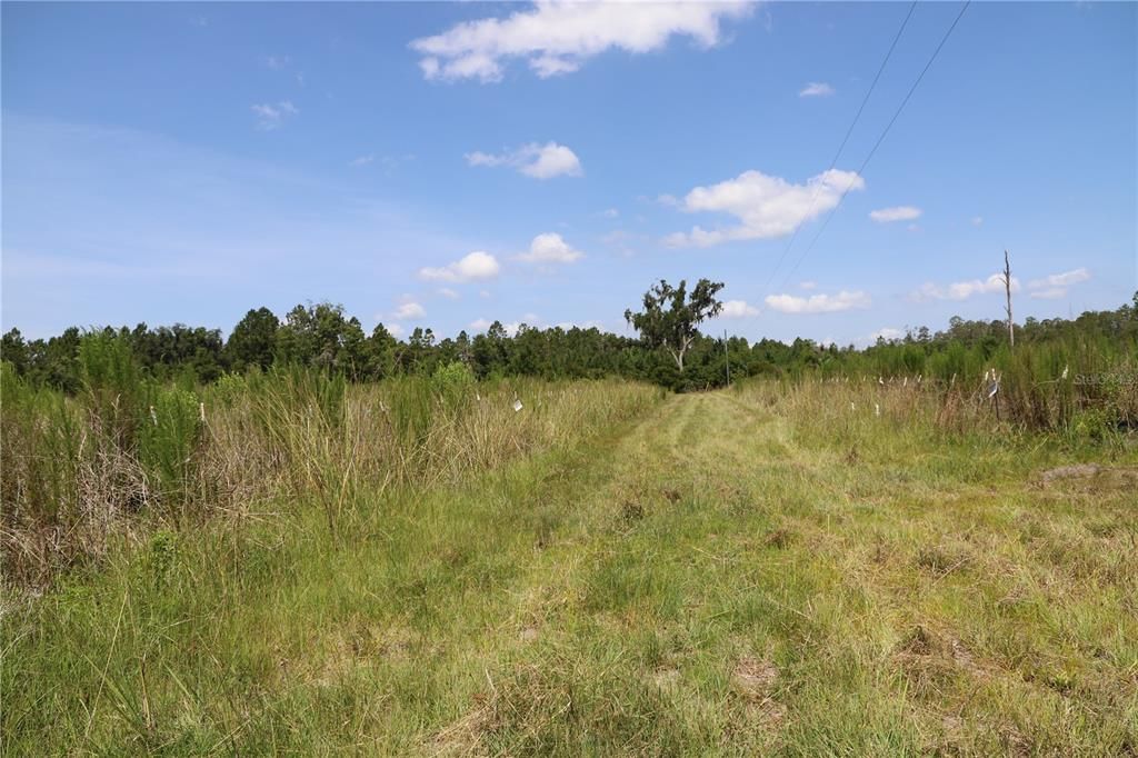 Recently Sold: $300,000 (23.52 acres)