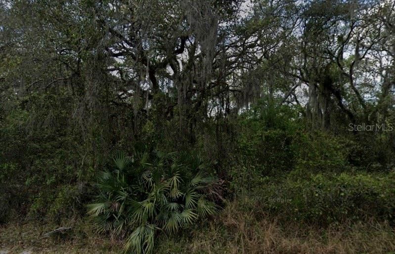 Recently Sold: $200,000 (1.05 acres)