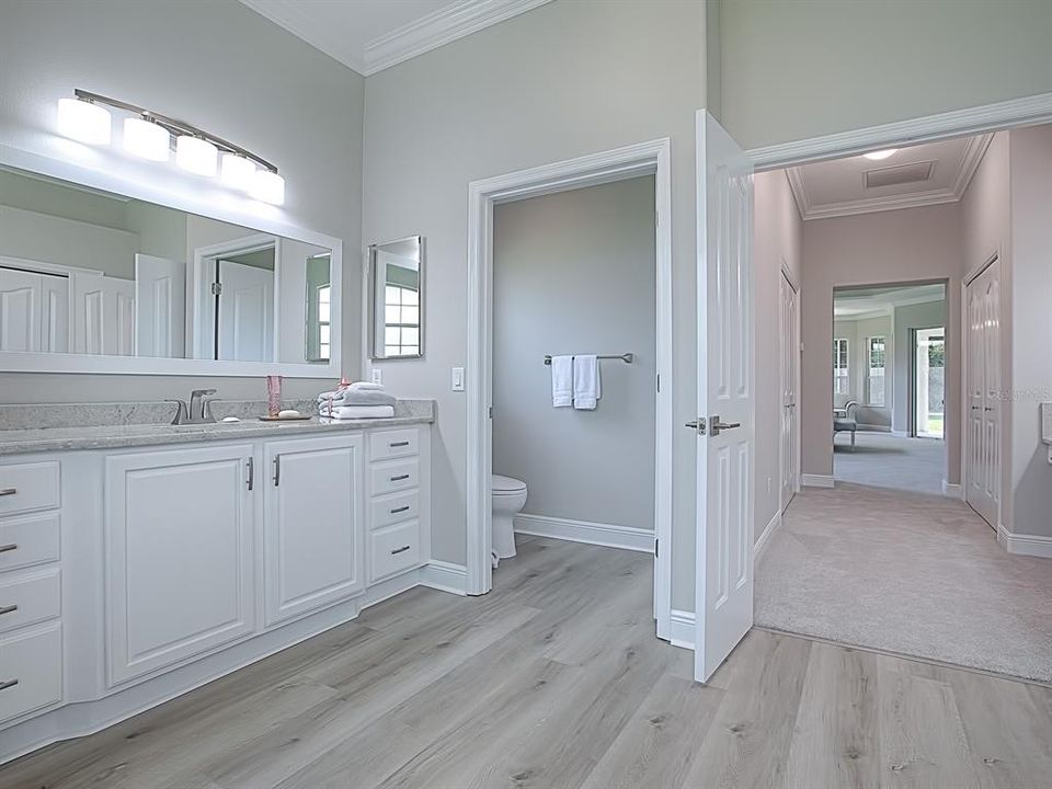 SEPARATE TOILET ROOM WITH NEW COMFORT HEIGHT TOILET! THERE IS ALSO A LARGE LINEN CLOSET TO THE RIGHT!