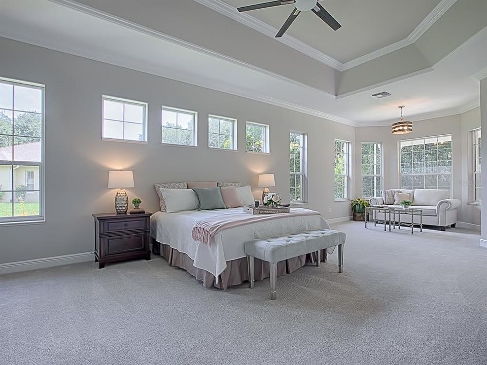 WHAT A SPECTACULAR SPACIOUS MASTER BEDROOM!  NEW CARPET, NEW LIGHTS, FAN AND PAINTED TRAY WITH CROWN TRIM!