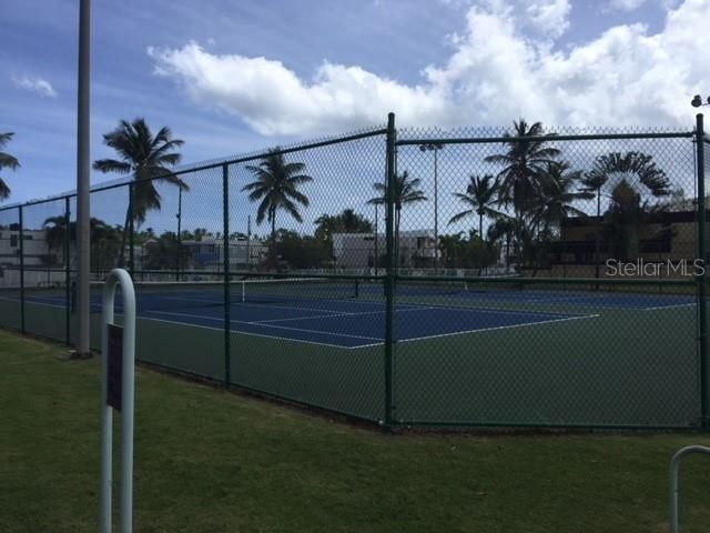 Tennis court