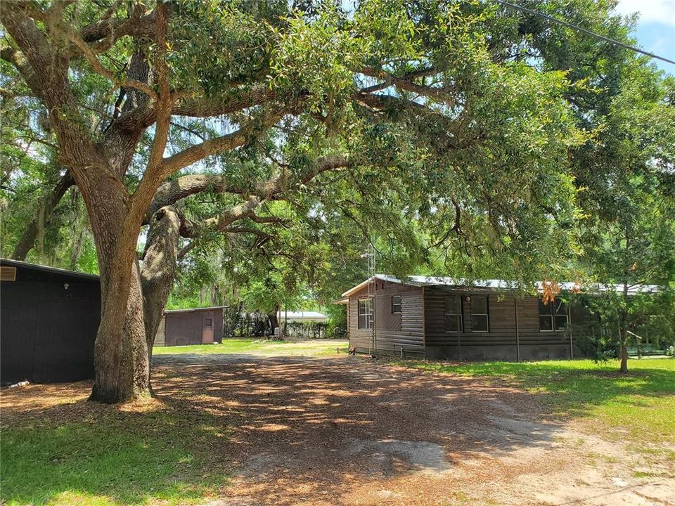 View From Driveway